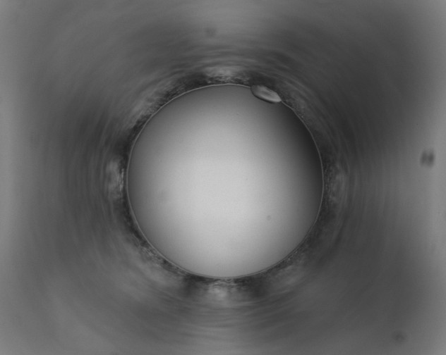 X0000112430420200908281907