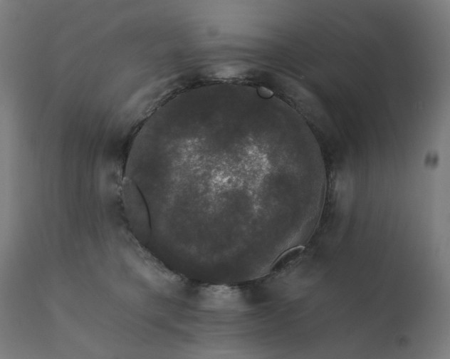 X0000112430421200908281907