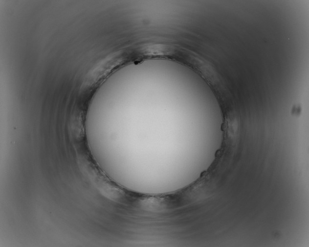 X0000112430422200908281907