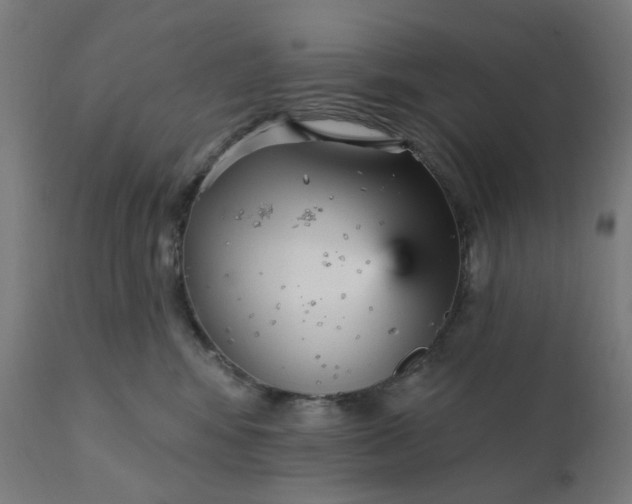 X0000112430424200908281907