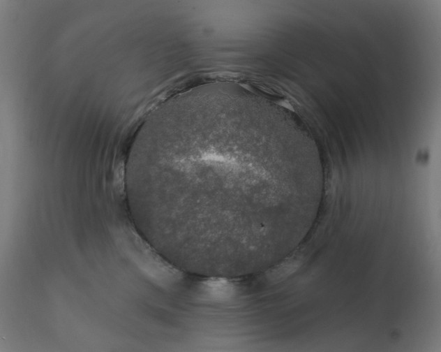 X0000112430425200908281907