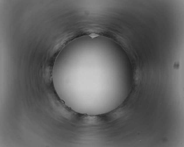 X0000112430428200908281907