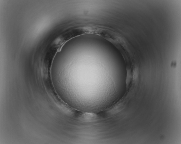 X0000112430429200908281906