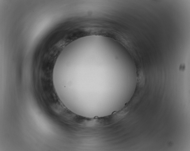 X0000112430430200908281906