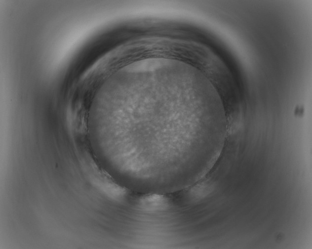 X0000112430431200908281906