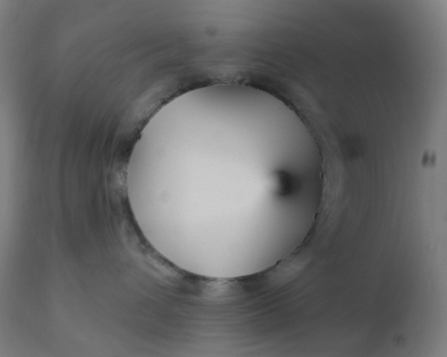 X0000112430432200908281906