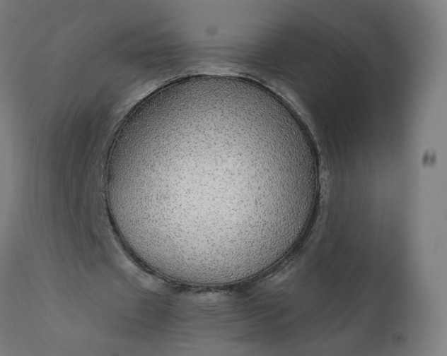 X0000112430433200908281906