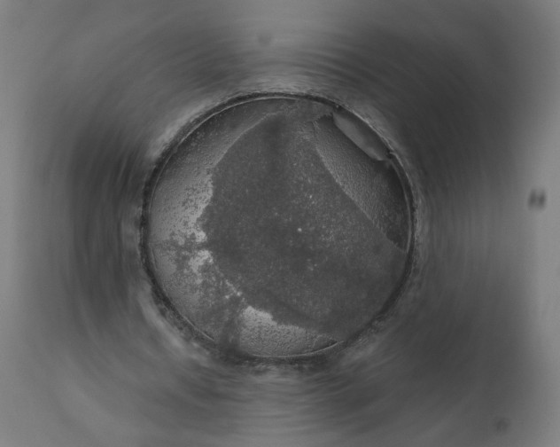 X0000112430434200908281906