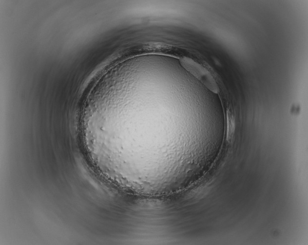 X0000112430435200908281906