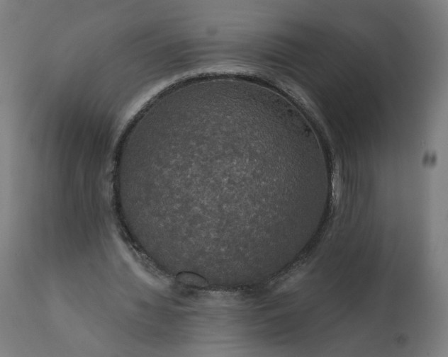 X0000112430436200908281906