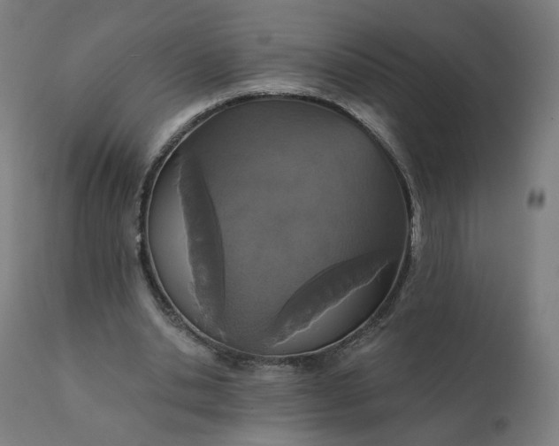 X0000112430438200908281906