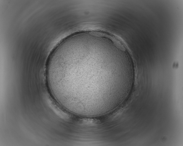 X0000112430439200908281906