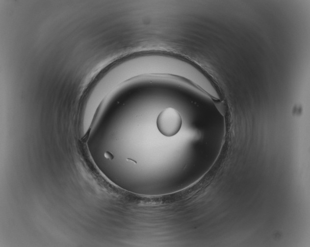 X0000112430440200908281906