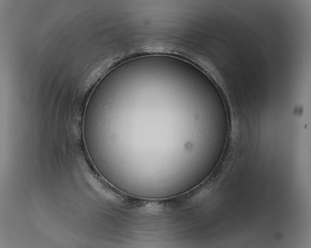 X0000112430441200908281906