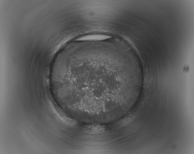 X0000112430443200908281906