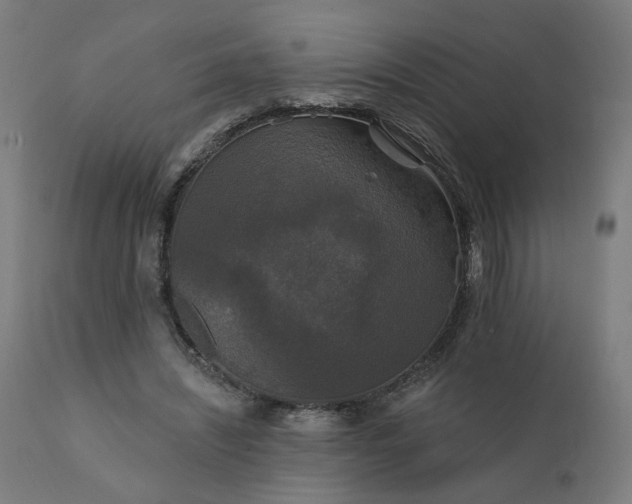 X0000112430444200908281906