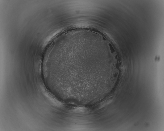 X0000112430446200908281906