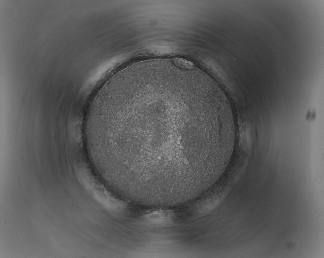 X0000112430447200908281906