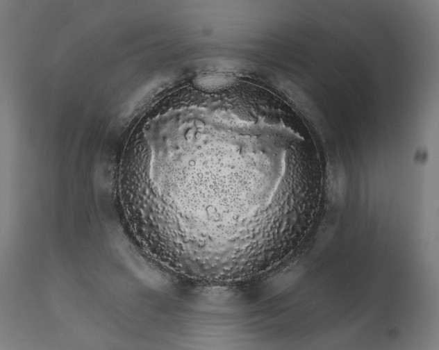 X0000112430449200908281906