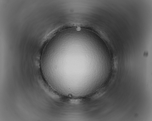 X0000112430450200908281906