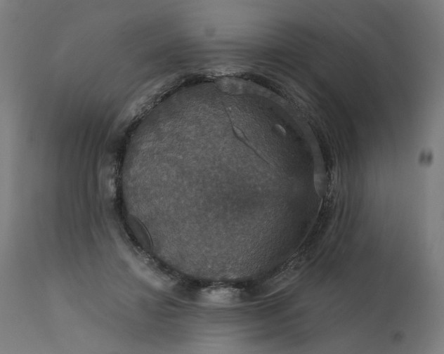 X0000112430452200908281906