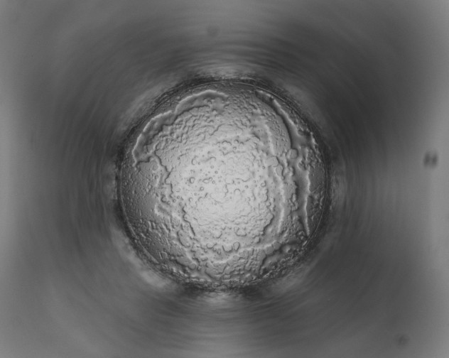 X0000112430453200908281906