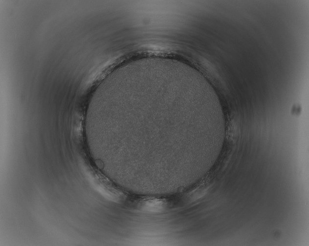 X0000112430456200908281906