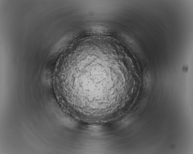 X0000112430457200908281906