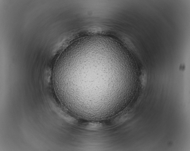 X0000112430458200908281906