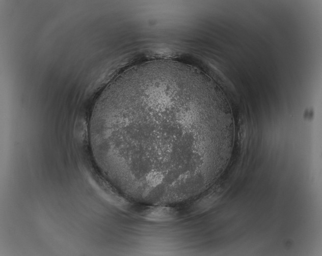 X0000112430459200908281906