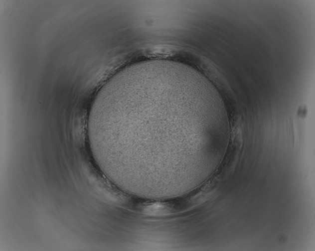 X0000112430460200908281906