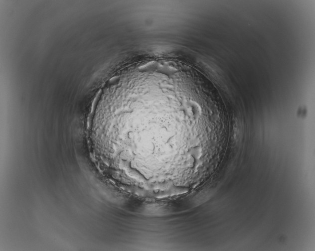 X0000112430461200908281906