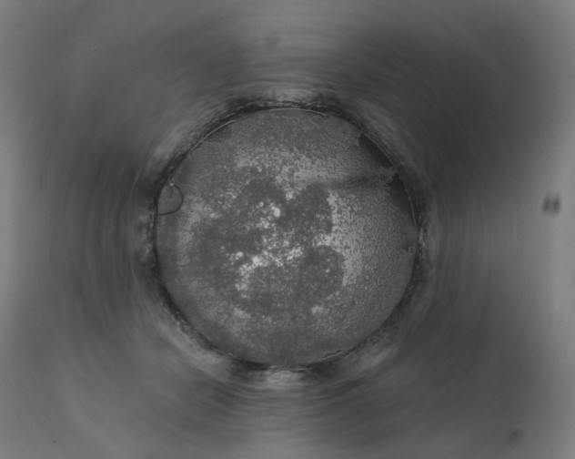 X0000112430462200908281906