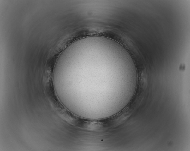 X0000112430463200908281906