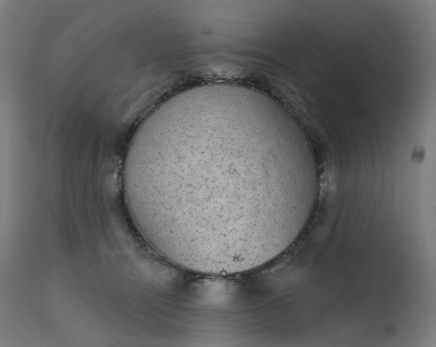 X0000112430464200908281906