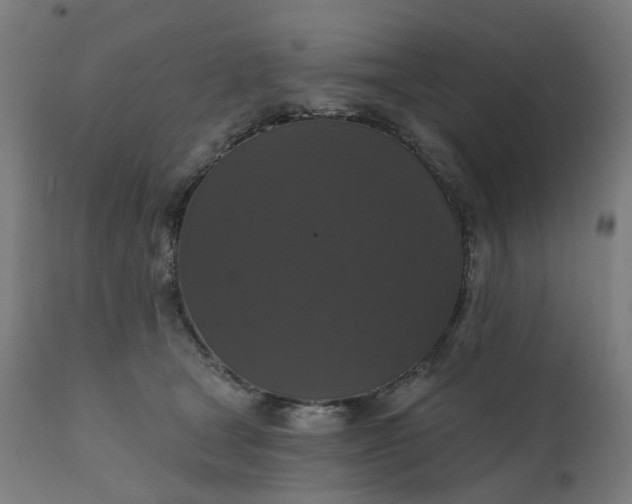 X0000112430465200908281906