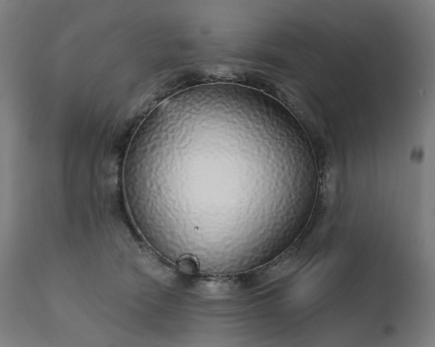 X0000112430466200908281906