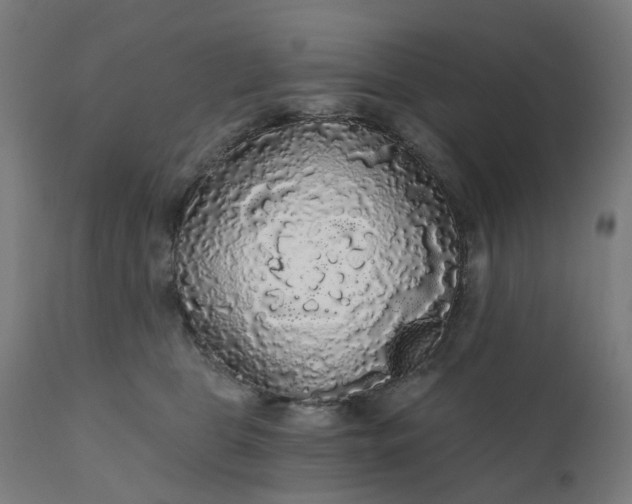 X0000112430469200908281906