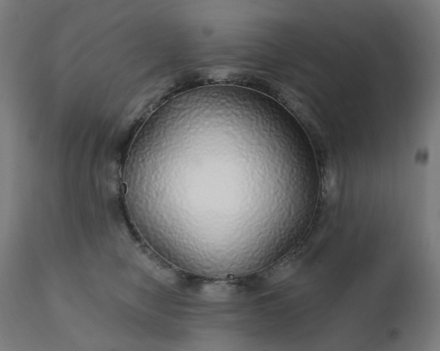 X0000112430470200908281906