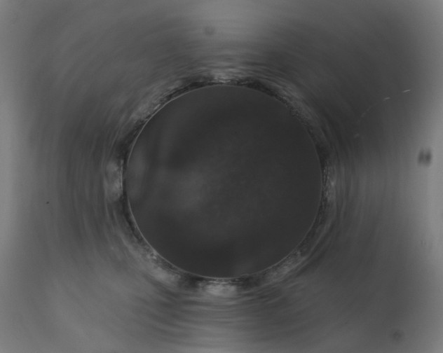 X0000112430471200908281906