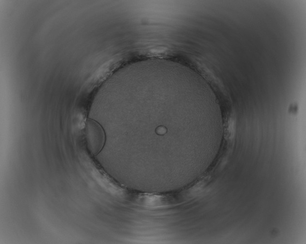 X0000112430472200908281906