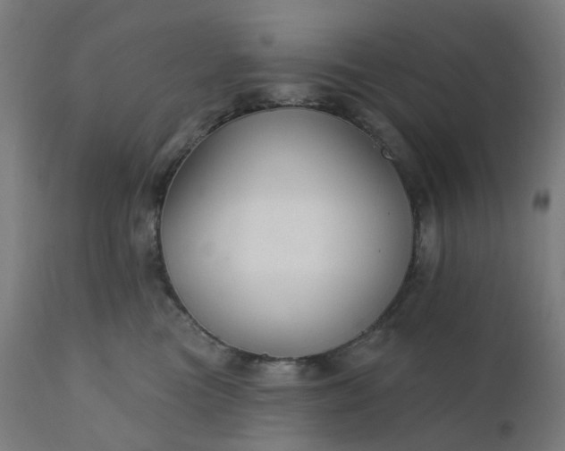 X0000112430473200908281906