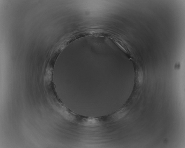 X0000112430475200908281906