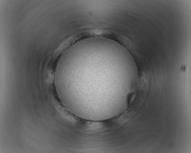 X0000112430476200908281906