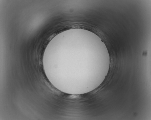 X0000112430477200908281906