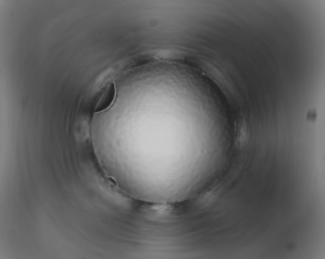 X0000112430478200908281906