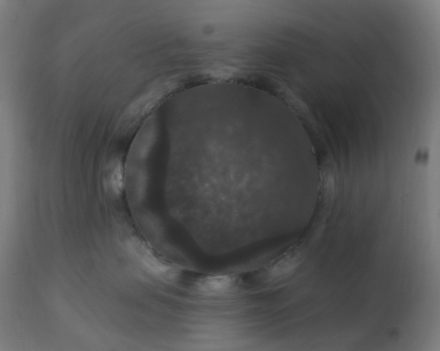 X0000112430479200908281906