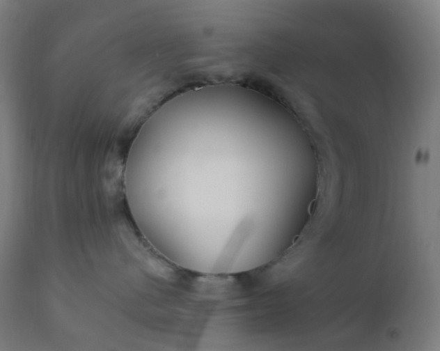 X0000112430480200908281906