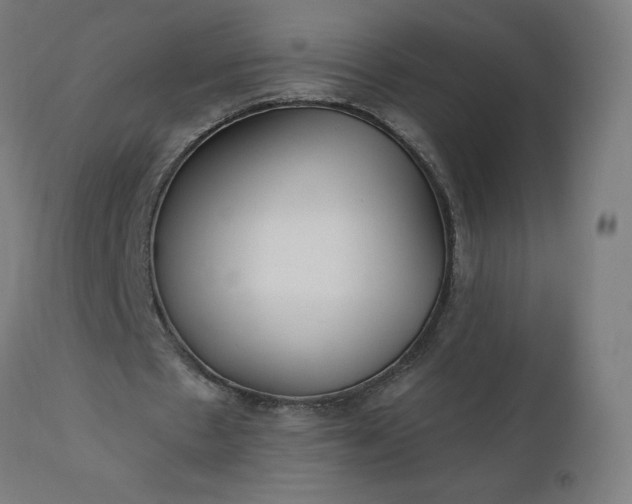 X0000112430481200908281906