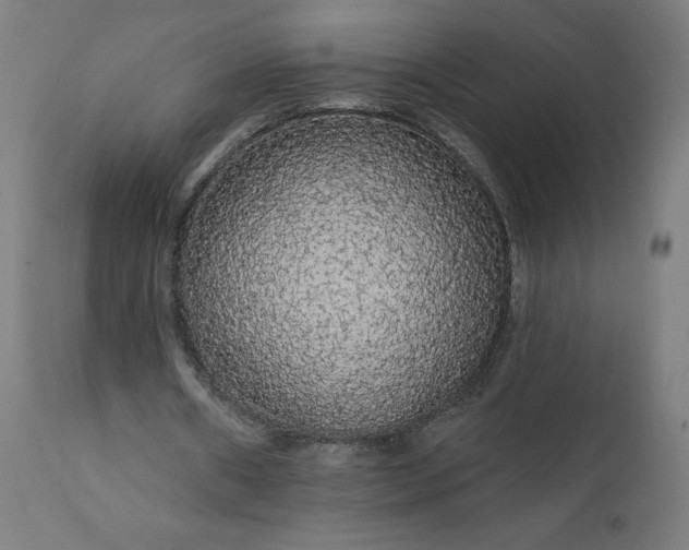 X0000112430482200908281906